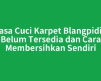 Jasa Cuci Karpet Blangpidie Belum Tersedia dan Cara Membersihkan Sendiri