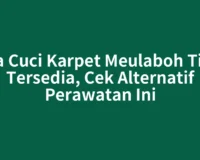 Jasa Cuci Karpet Meulaboh Tidak Tersedia, Cek Alternatif Perawatan Ini