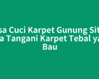 Jasa Cuci Karpet Gunung Sitoli Bisa Tangani Karpet Tebal yang Bau