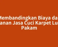Membandingkan Biaya dan Layanan Jasa Cuci Karpet Lubuk Pakam