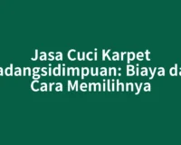Jasa Cuci Karpet Padangsidimpuan: Biaya dan Cara Memilihnya